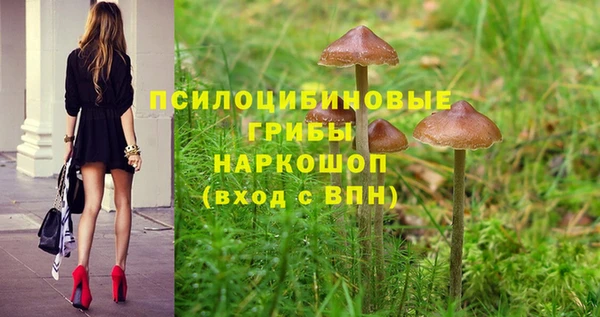 первитин Богородск