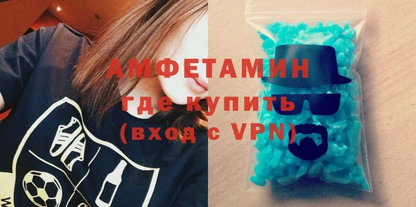 шишки Тында