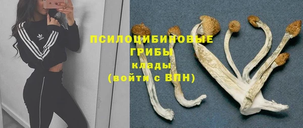 Альфа ПВП Богданович