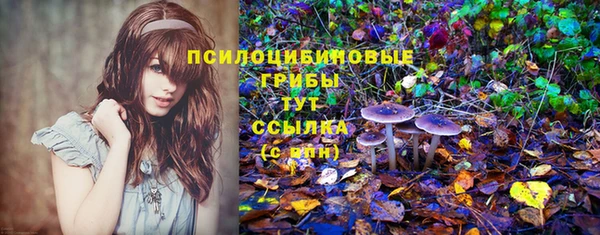 первитин Богородск
